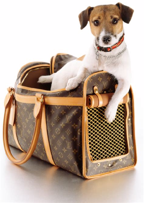 cappottini per cani louis vuitton|Louis Vuitton dog accessories.